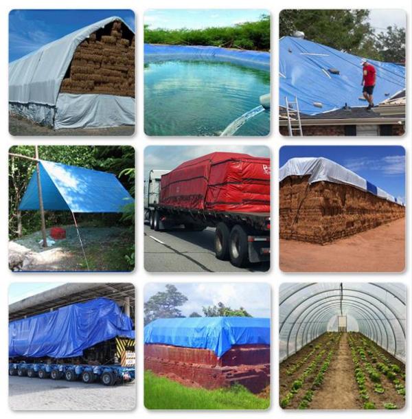 篷布：守護您的世界，從細節開始